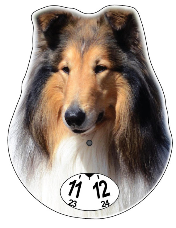 Collie- kiekko