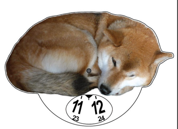 Shiba parkkikiekko