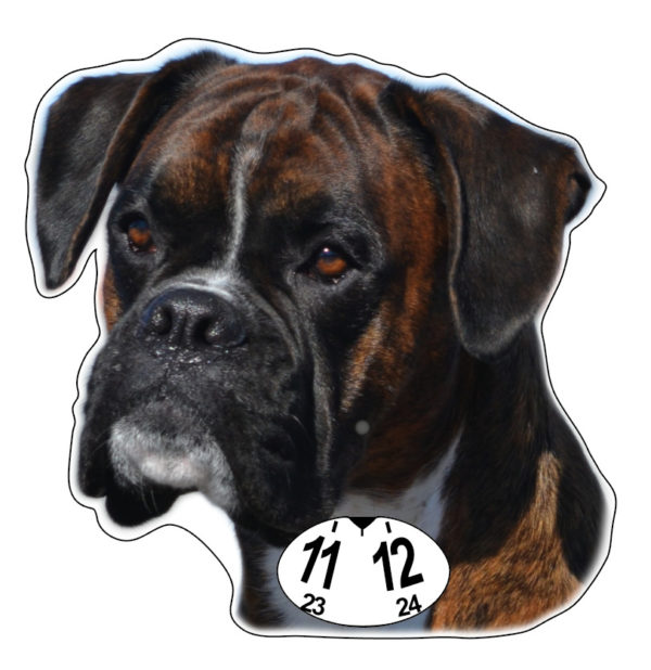 Boxer-parkkikiekko
