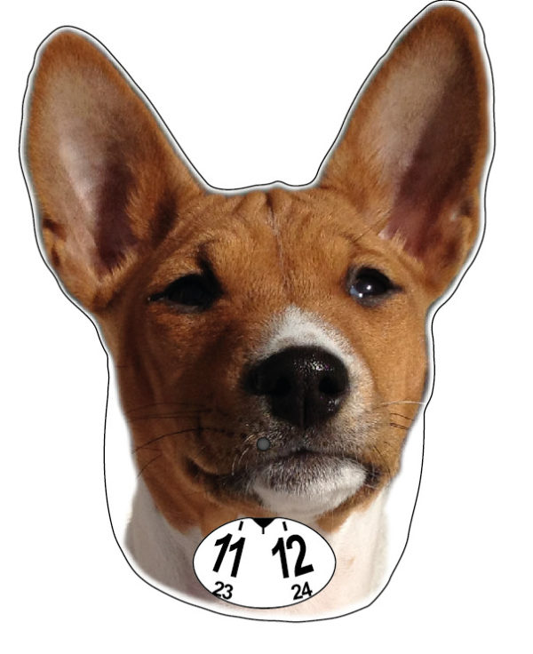 Basenji