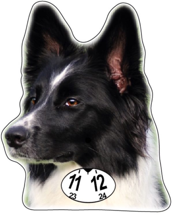 Bordercollie-parkkikiekko