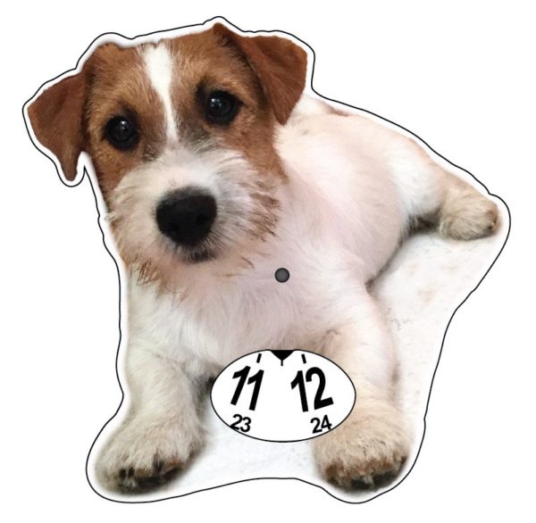 Jackrusselinterrieri-kiekko