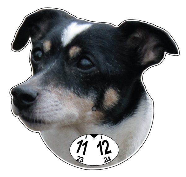Jack Russel musta -PARKKIKIEKKO