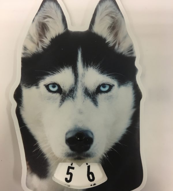 Husky-parkkikiekko