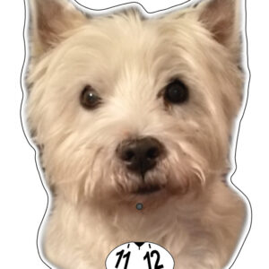 Westie Bono parkeringsskiva