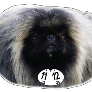 Pekinges parkeringsskiva