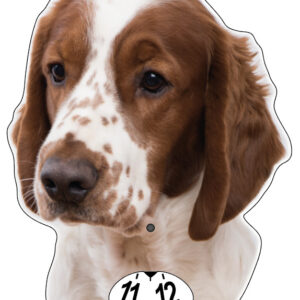 Welsh springerspaniel parkeringsskiva