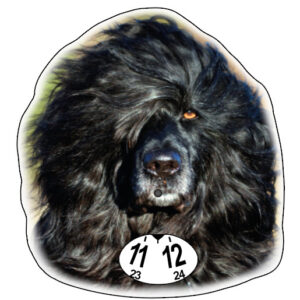 Portugisisk vattenhund parkeringsskiva