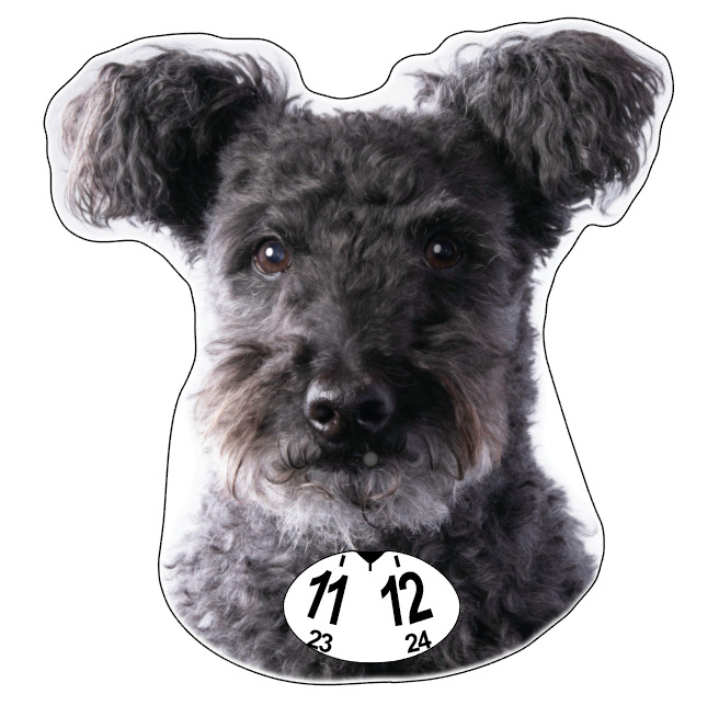 Pumi- parkeringsskiva