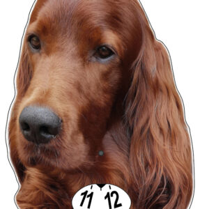 Irländsk setter parkeringsskiva