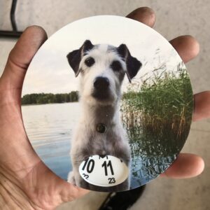 Parsonrussellterrier parkeringsskiva