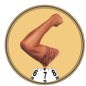 Biceps parkeringsskiva