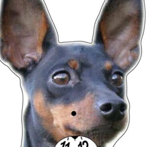 Pinscher parkeringsskiva
