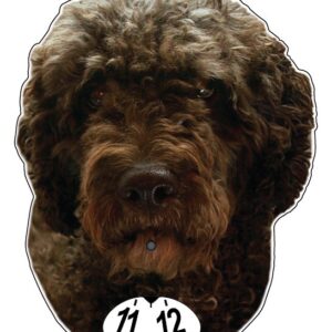 Spansk vattenhund parkeringsskiva