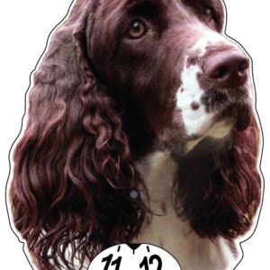 Engelsk springerspaniel brun parkeringsskiva