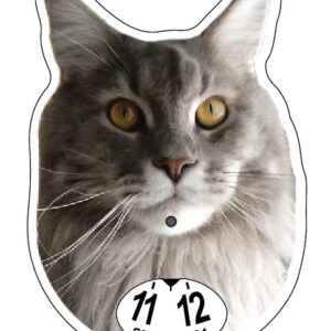 Maine coon parkeringsskiva