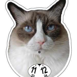 Ragdoll bicolor parkeringsskiva