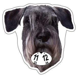 Snautser parkeringsskiva