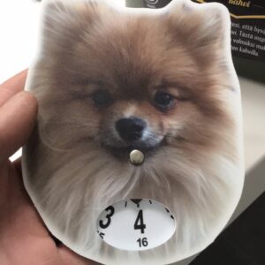 Pomeranian ljus parkeringsskiva