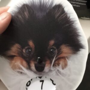 Pomeranian mörk parkeringsskiva