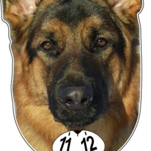 Tyska parkeringsskiva