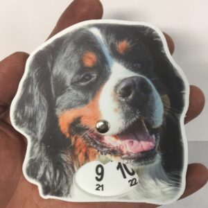 Berner sennenhund parkeringsskiva