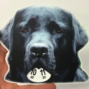 Labrador parkeringsskiva