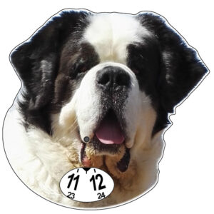 Berhandian svart parkeringsskivan