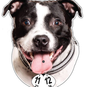 James parkeringsskiva