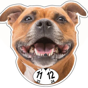 Stafford parkeringsskiva