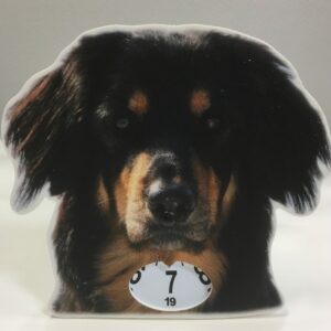 Hovawart parkeringsskiva