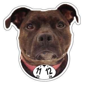 Stafford med  band parkeringsskiva