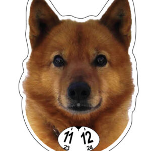 Finsk spets parkeringsskiva