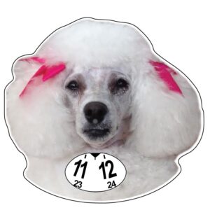 Pudel vit parkeringsskiva