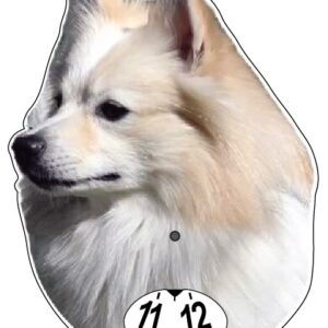 Mittelspitz parkeringsskiva