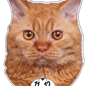 Selkirk rex parkeringsskiva