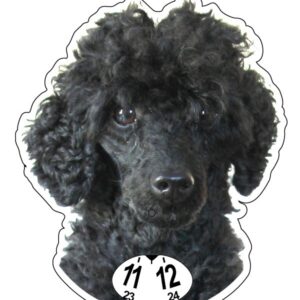 Pudel svart parkeringsskiva