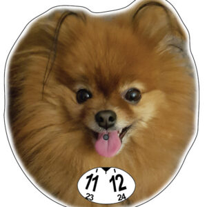 Pomeranian orange parkeringsskiva